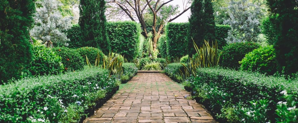 Trouver un bon jardinier paysagiste pour vos tailles de haies